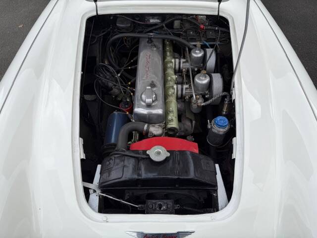 Bild 14/17 von Austin-Healey 100/6 (BN4) (1957)