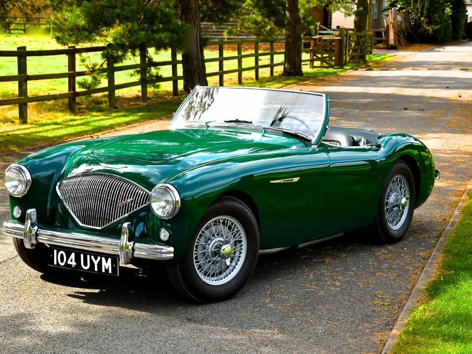 Bild 7/14 von Austin-Healey 100&#x2F;4 (BN1) (1954)