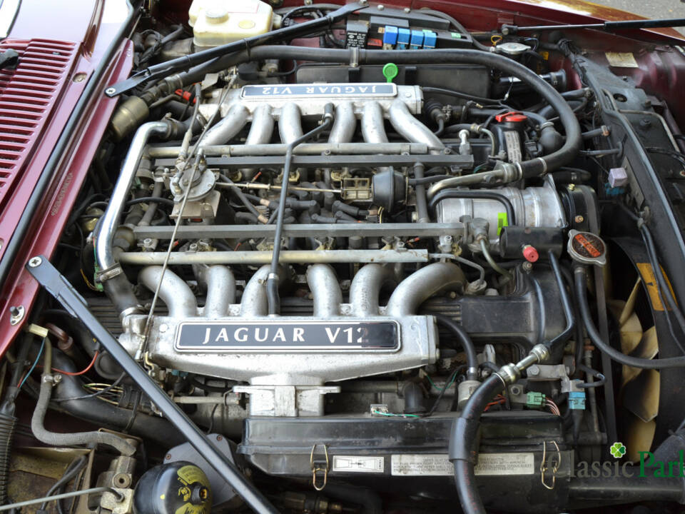 Imagen 15/50 de Jaguar XJS 5.3 V12 (1992)