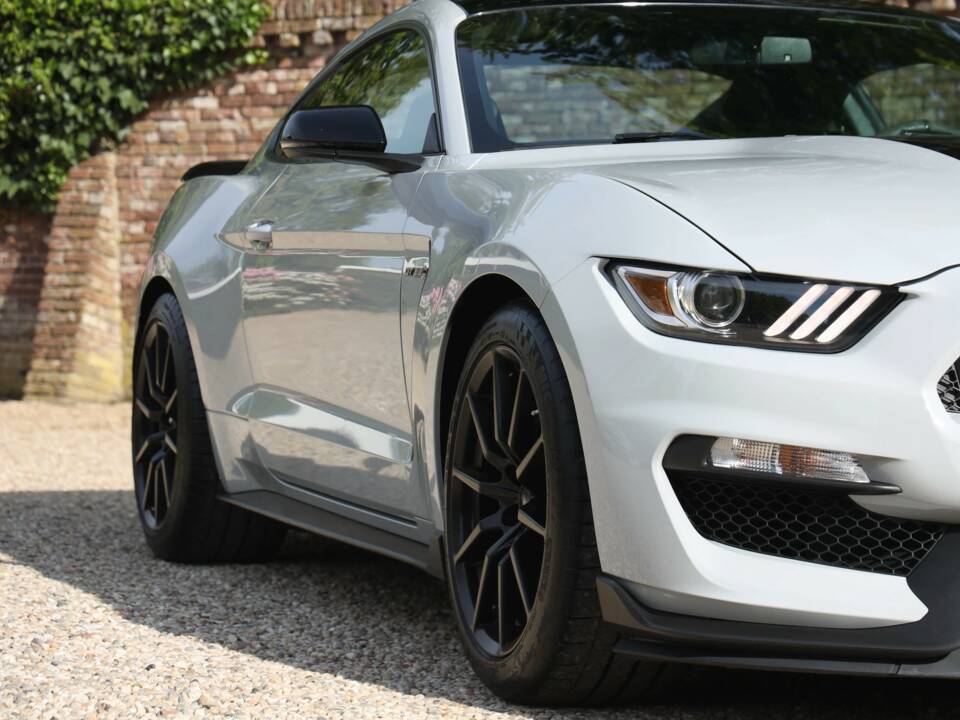 Image 23/50 of Ford Mustang Shelby GT 350 (2017)