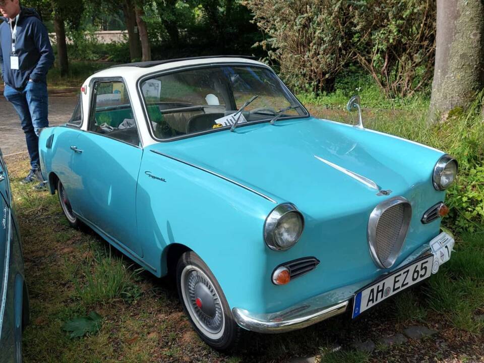 Afbeelding 22/68 van Glas Goggomobil TS 250 (1965)