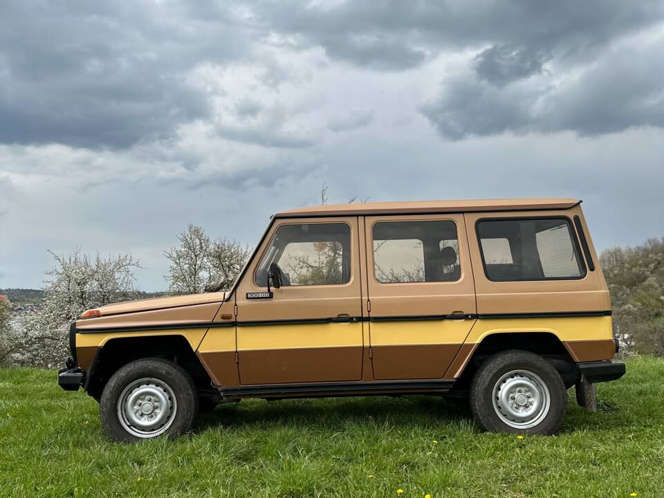Bild 7/18 von Steyr-Puch 300 GD (lang) (1982)