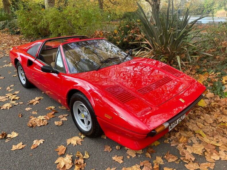 Image 43/50 of Ferrari 308 GTS Quattrovalvole (1983)