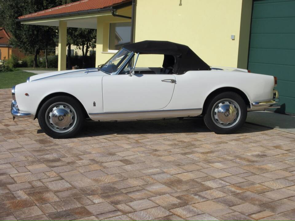 Bild 12/30 von Alfa Romeo Giulietta Spider (1961)