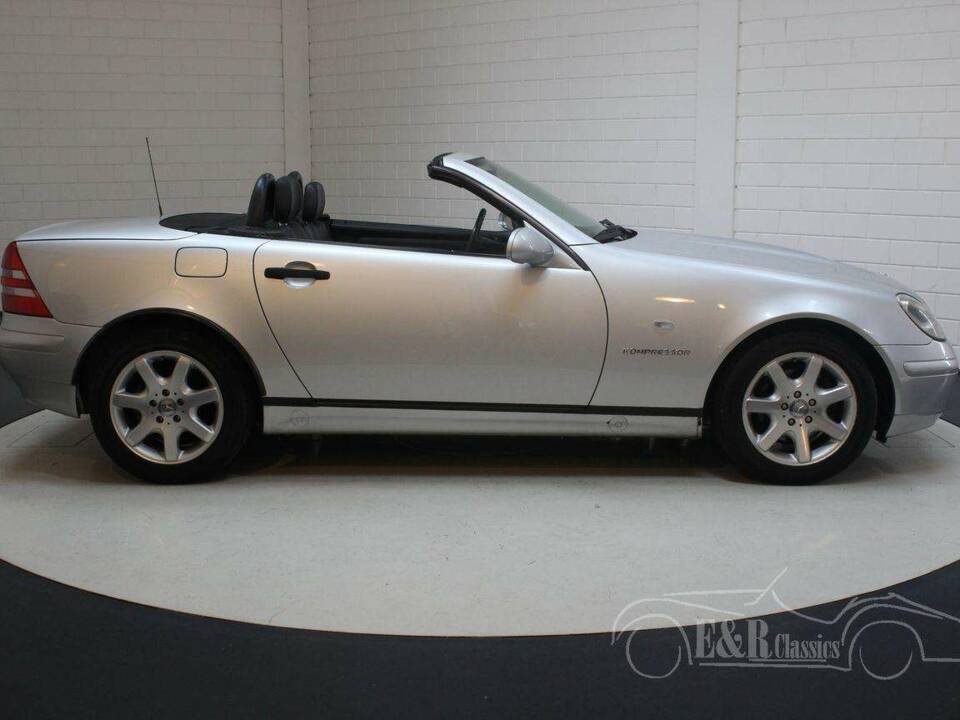 Bild 14/19 von Mercedes-Benz SLK 230 Kompressor (1999)