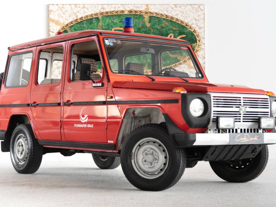 Bild 14/46 von Steyr-Puch 230 G (lang) (1979)