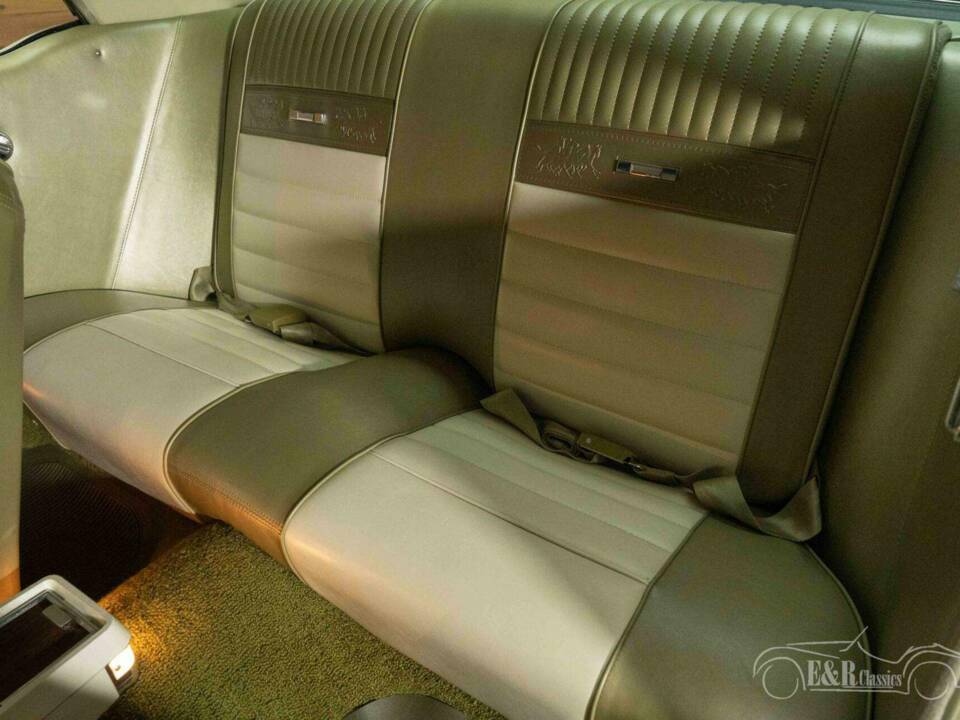 Image 12/19 of Ford Mustang GT (1966)