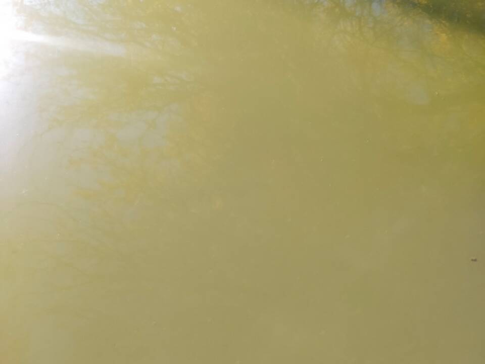 Bild 24/55 von Porsche 914&#x2F;4 1.7 (1972)