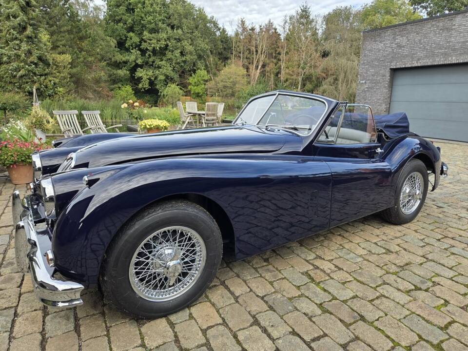 Immagine 1/8 di Jaguar XK 140 DHC (1957)