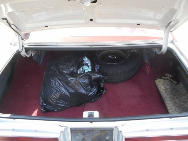 Image 16/22 of Buick Skylark Coupe (1976)