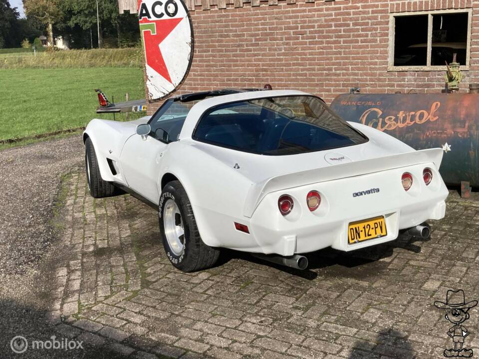 Afbeelding 21/50 van Chevrolet Corvette Sting Ray (1979)