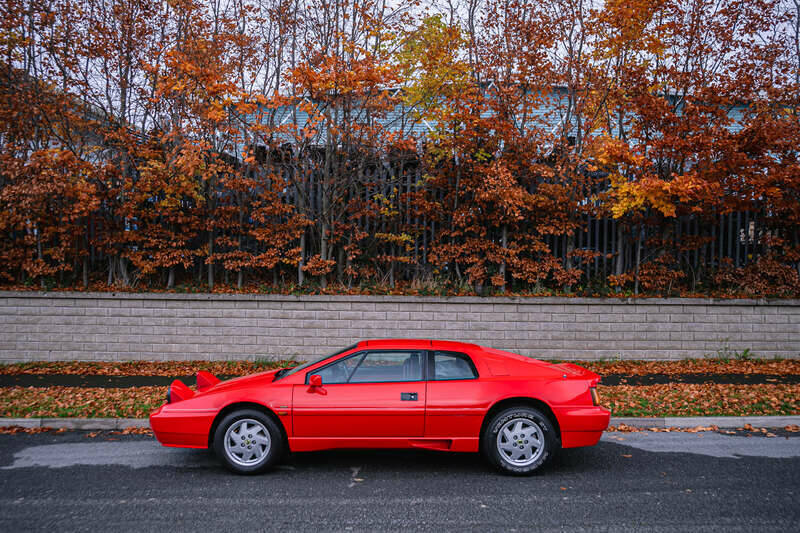 Afbeelding 37/37 van Lotus Esprit (1988)