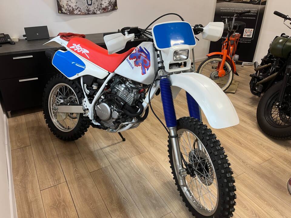 Immagine 1/12 di Honda XR 250 R (1993)