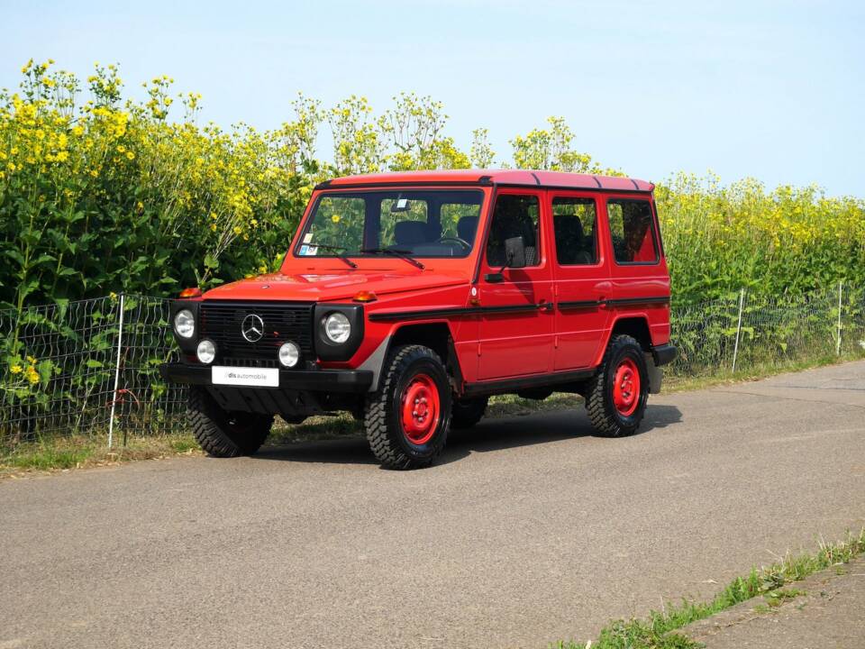 Immagine 13/30 di Steyr-Puch 280 GE (lang) (1985)