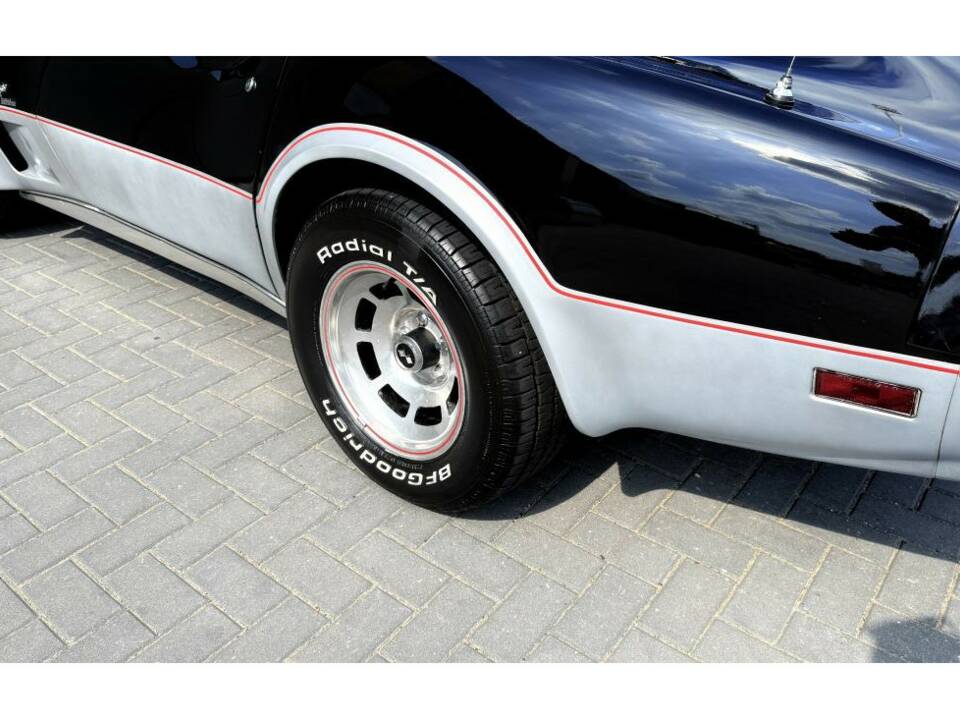Image 15/18 of Chevrolet Corvette Indy Pace Car (1978)