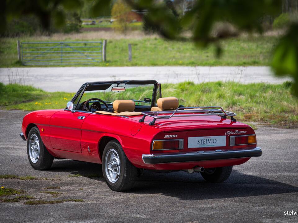 Afbeelding 42/42 van Alfa Romeo 2000 Spider Veloce (1980)
