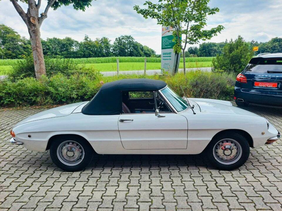 Bild 5/20 von Alfa Romeo 1750 Spider (1969)