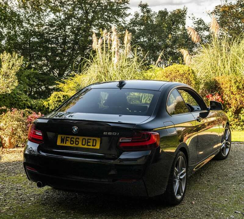 Image 17/50 of BMW 220i (2016)