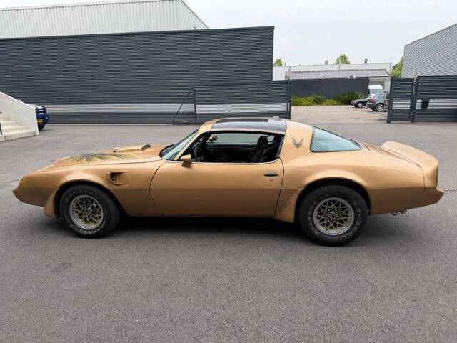 Image 8/21 of Pontiac Firebird TransAm (1979)