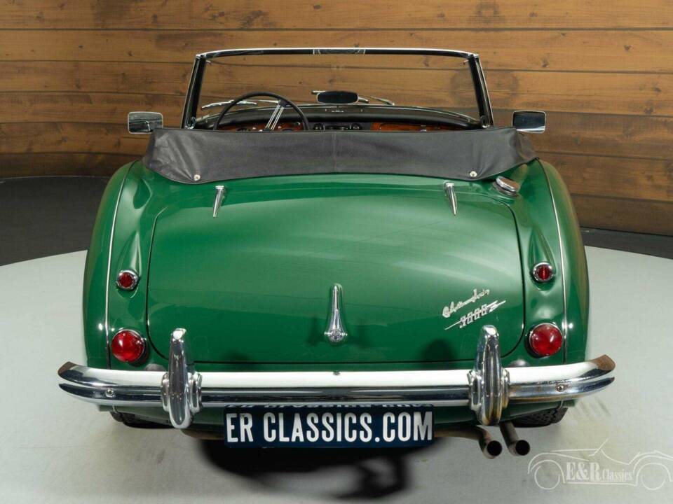 Imagen 16/19 de Austin-Healey 3000 Mk III (BJ8) (1965)