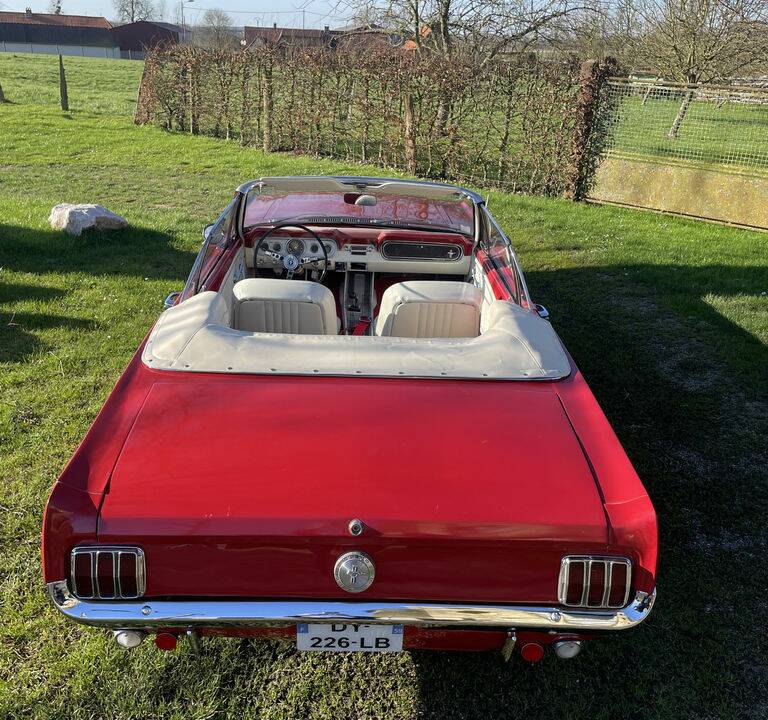 Immagine 6/8 di Ford Mustang GT (1966)