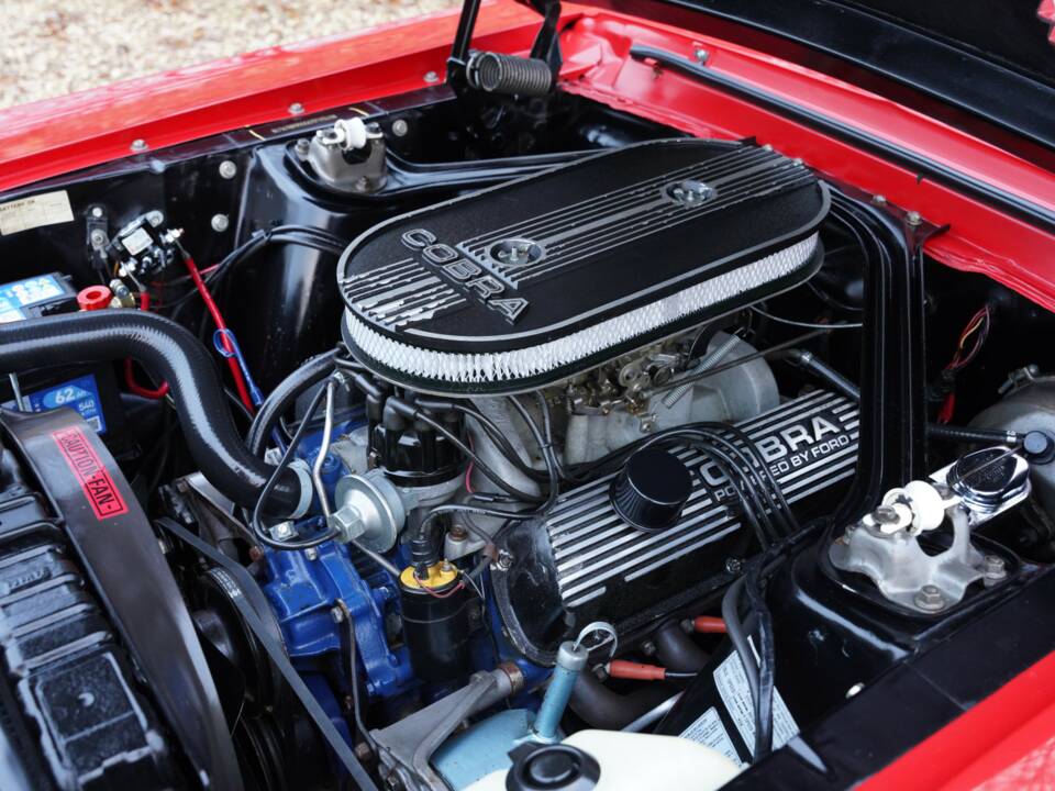 Image 39/50 de Ford Shelby GT 350 (1968)