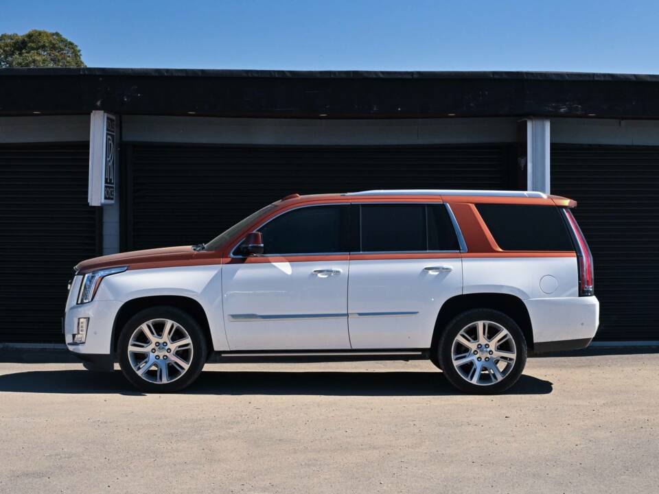 Bild 24/50 von Cadillac Escalade (2019)