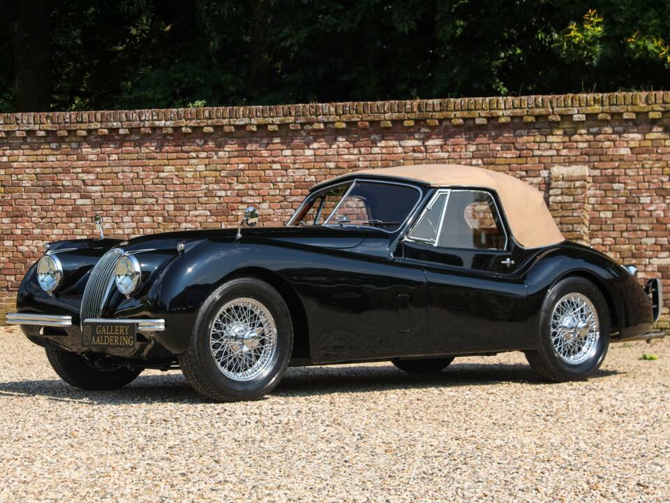 Immagine 11/50 di Jaguar XK 120 DHC (1953)