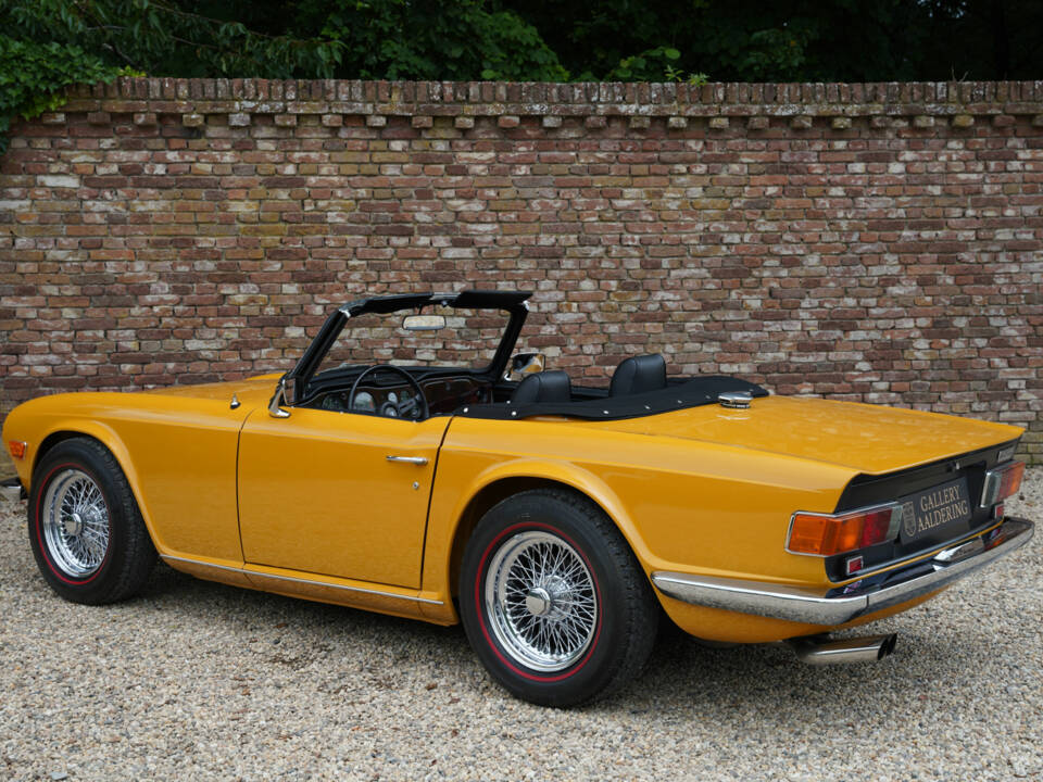 Immagine 14/50 di Triumph TR 6 (1971)
