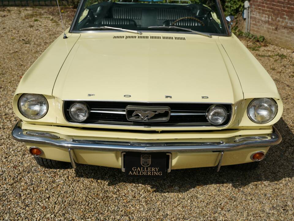 Immagine 44/50 di Ford Mustang 289 (1966)