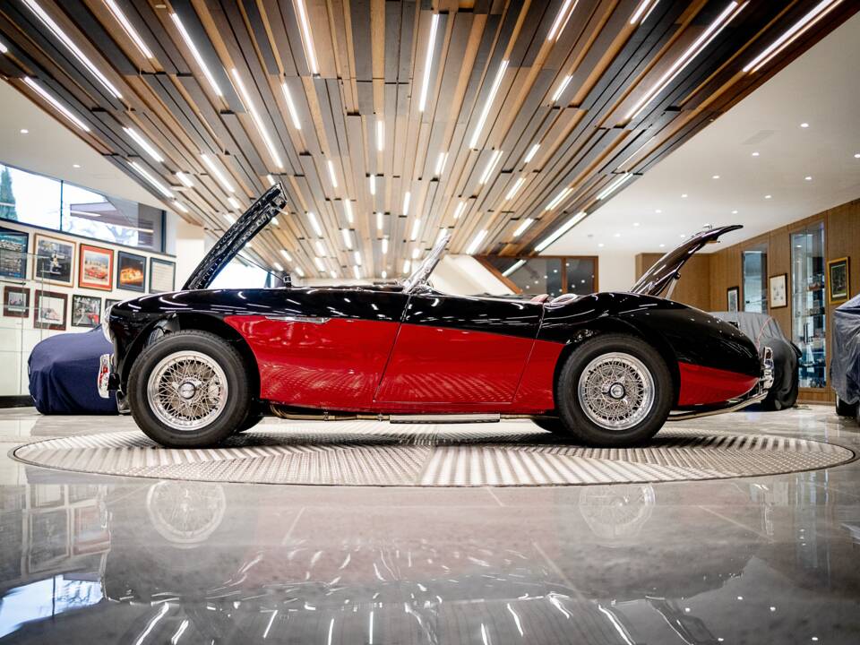 Bild 14/50 von Austin-Healey 100/4 (BN2) (1956)
