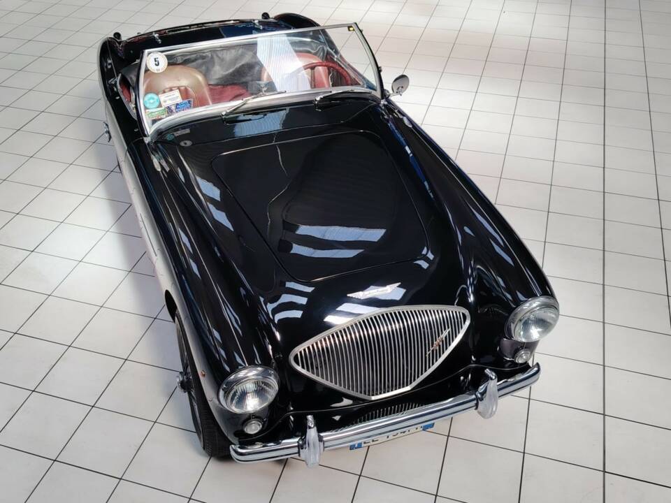 Bild 13/56 von Austin-Healey 100&#x2F;4 (BN2) (1956)