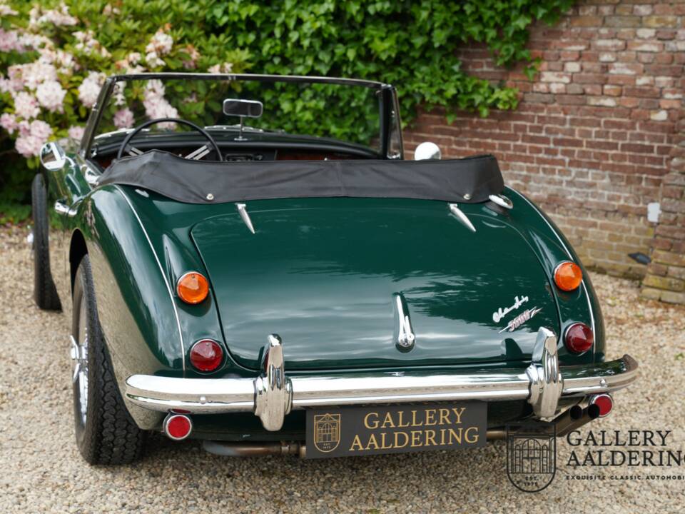 Afbeelding 13/50 van Austin-Healey 3000 Mk III (BJ8) (1966)