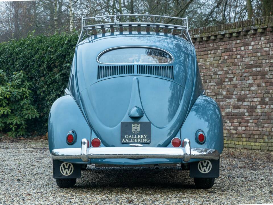 Bild 6/50 von Volkswagen Käfer 1200 Standard "Ovali" (1954)