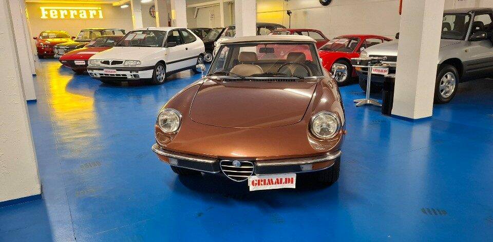 Image 6/45 of Alfa Romeo Spider Veloce 2000 (1981)