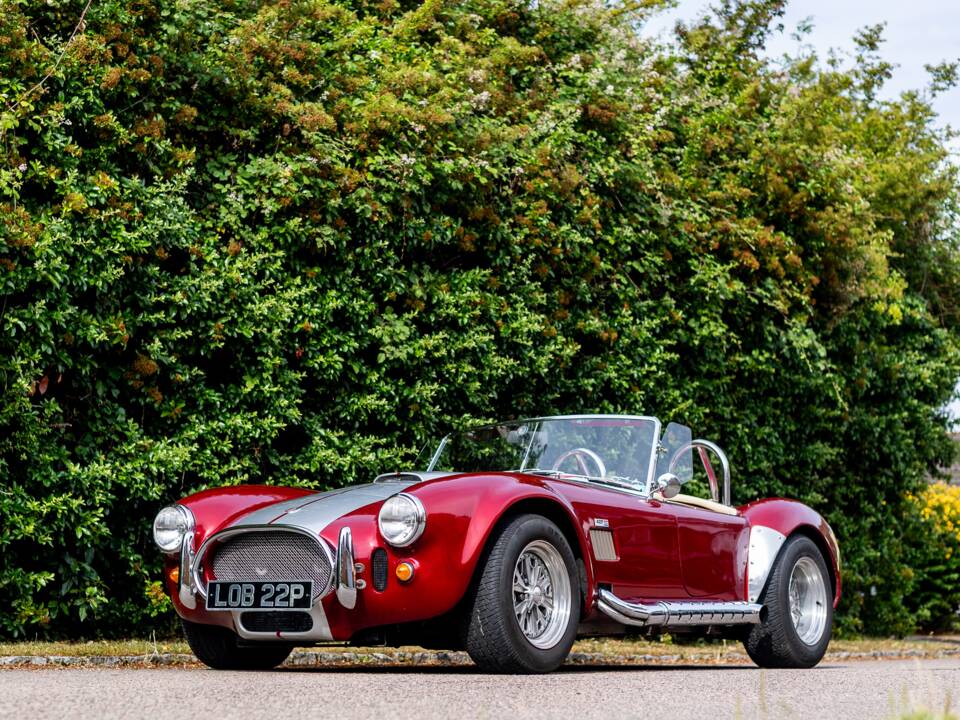 Bild 13/50 von Dax Cobra (1976)