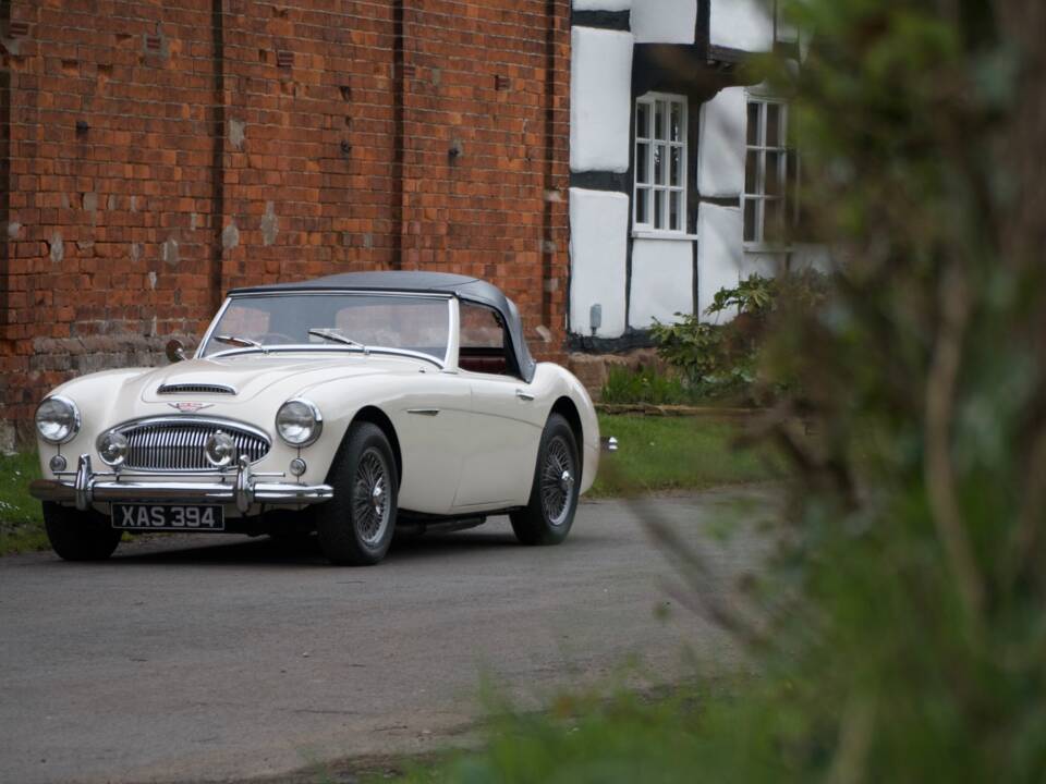 Immagine 9/27 di Austin-Healey 3000 Mk II (BT7) (1961)