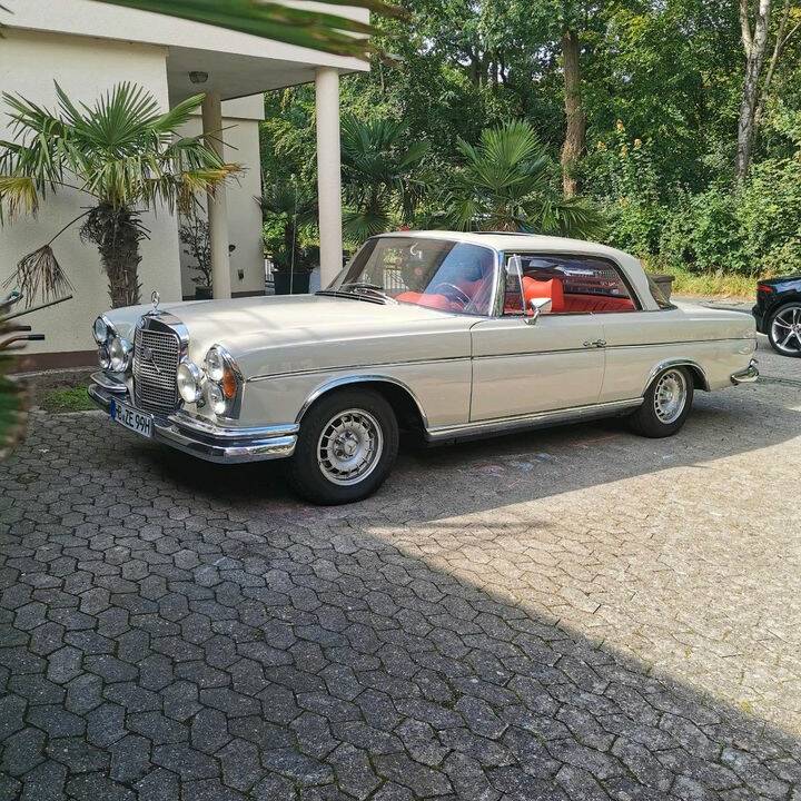 Bild 4/12 von Mercedes-Benz 250 SE (1967)