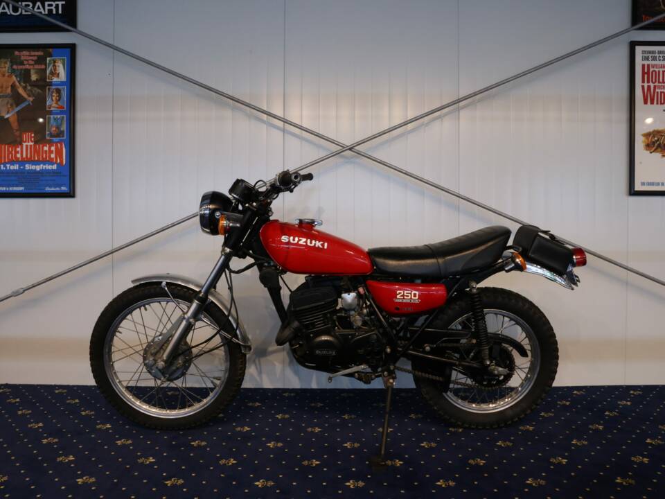 Immagine 16/23 di Suzuki TS 250 (1900)