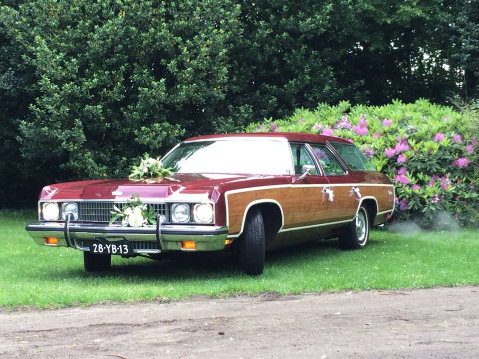 Bild 1/35 von Chevrolet Caprice Estate (1973)