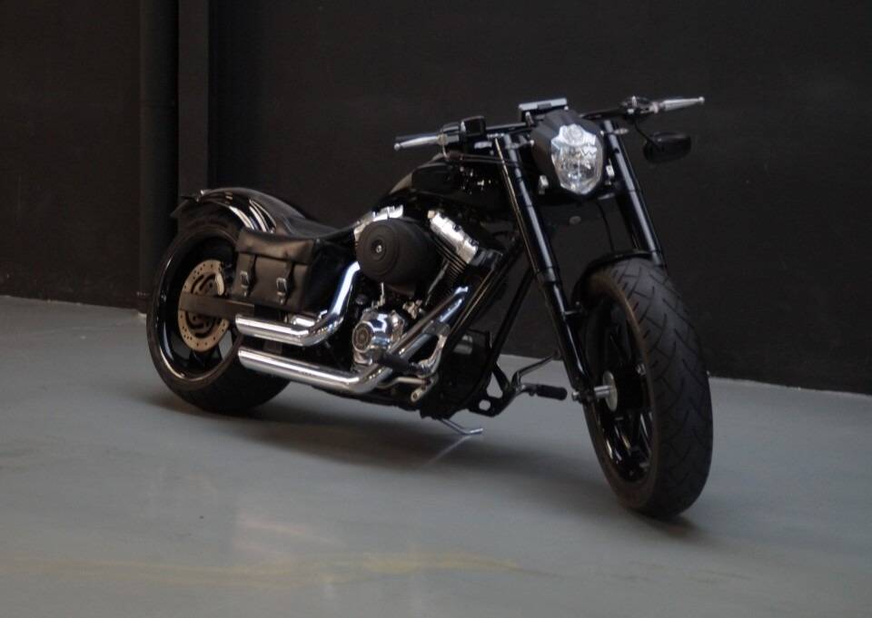 Imagen 23/50 de Harley-Davidson DUMMY (2008)