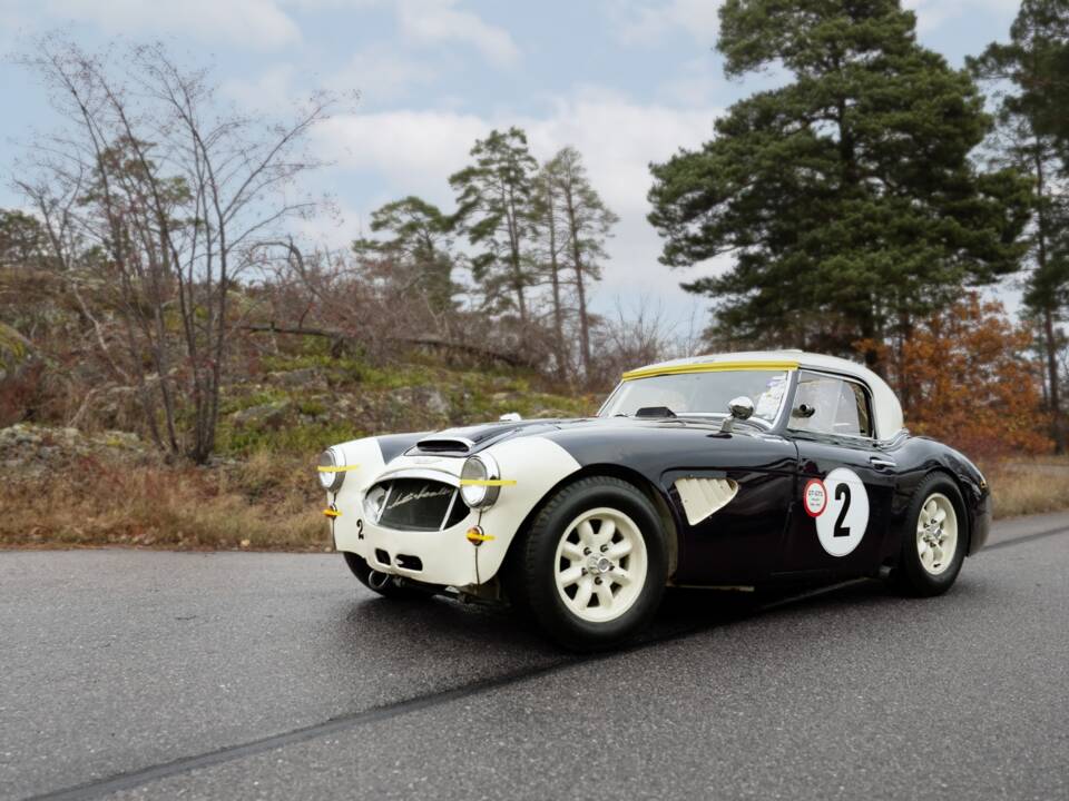 Immagine 5/23 di Austin-Healey 3000 Mk I (BN7) (1959)