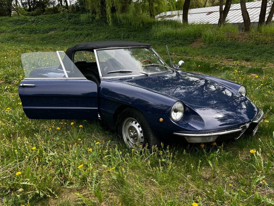 Immagine 14/14 di Alfa Romeo Spider 1300 Junior (1972)