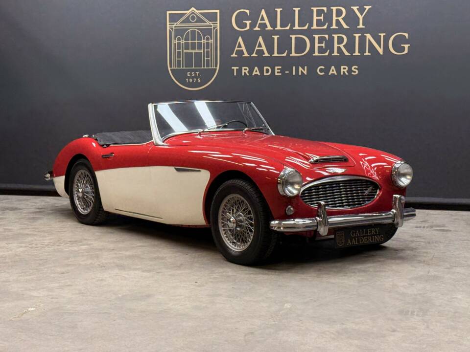 Bild 39/50 von Austin-Healey 3000 Mk I (BT7) (1961)