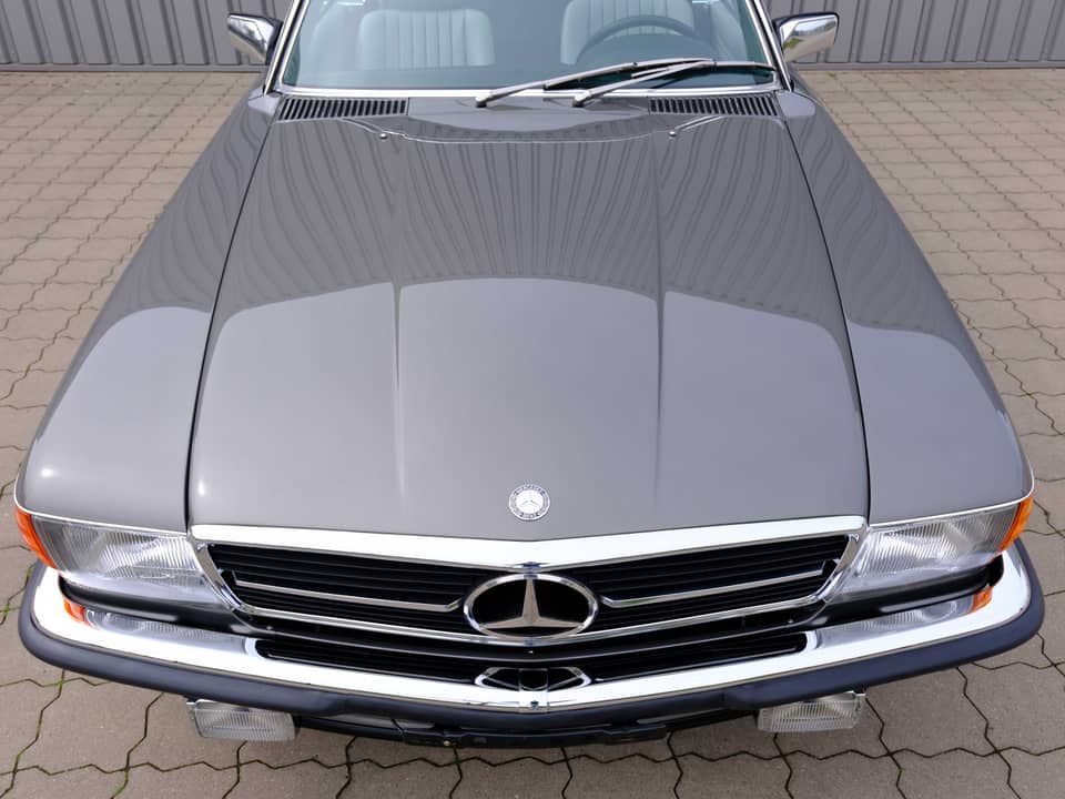Image 28/96 of Mercedes-Benz 560 SL (1987)