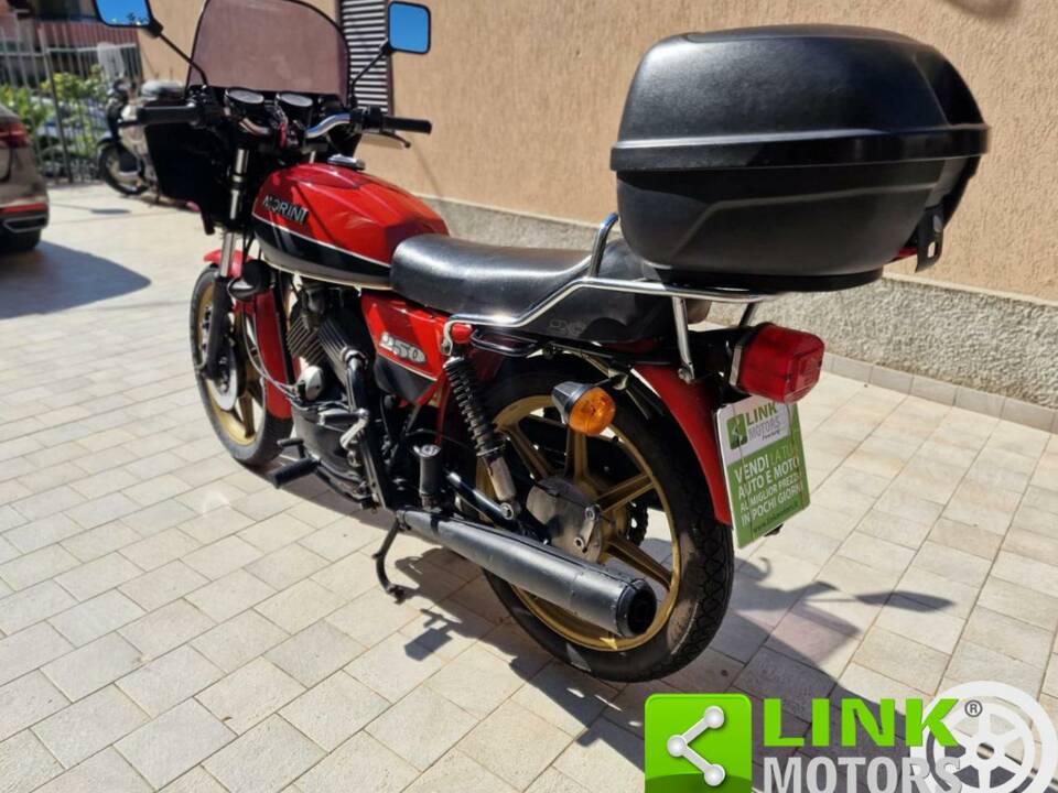 Bild 7/10 von Moto Morini DUMMY (1981)