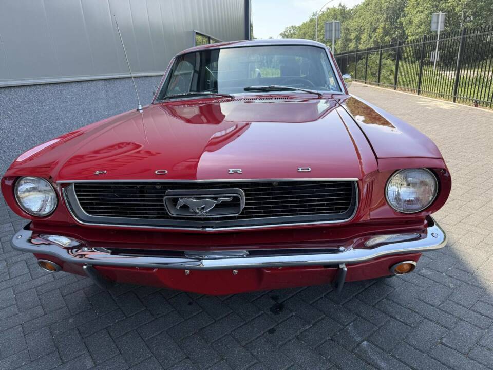 Image 5/50 de Ford Mustang 390 GTA (1966)