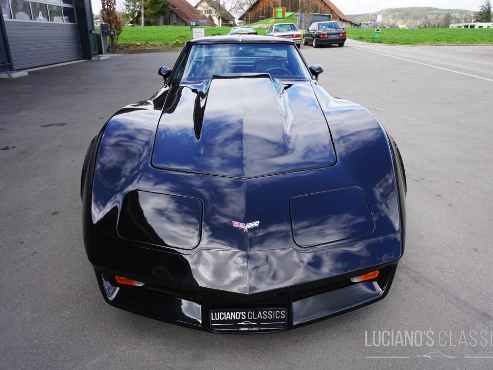 Bild 12/58 von Chevrolet Corvette Sting Ray (1979)
