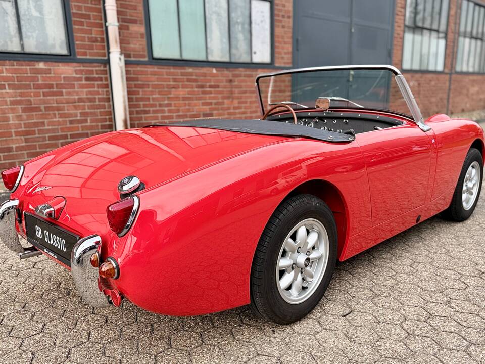 Imagen 5/27 de Austin-Healey Sprite Mk I (1961)