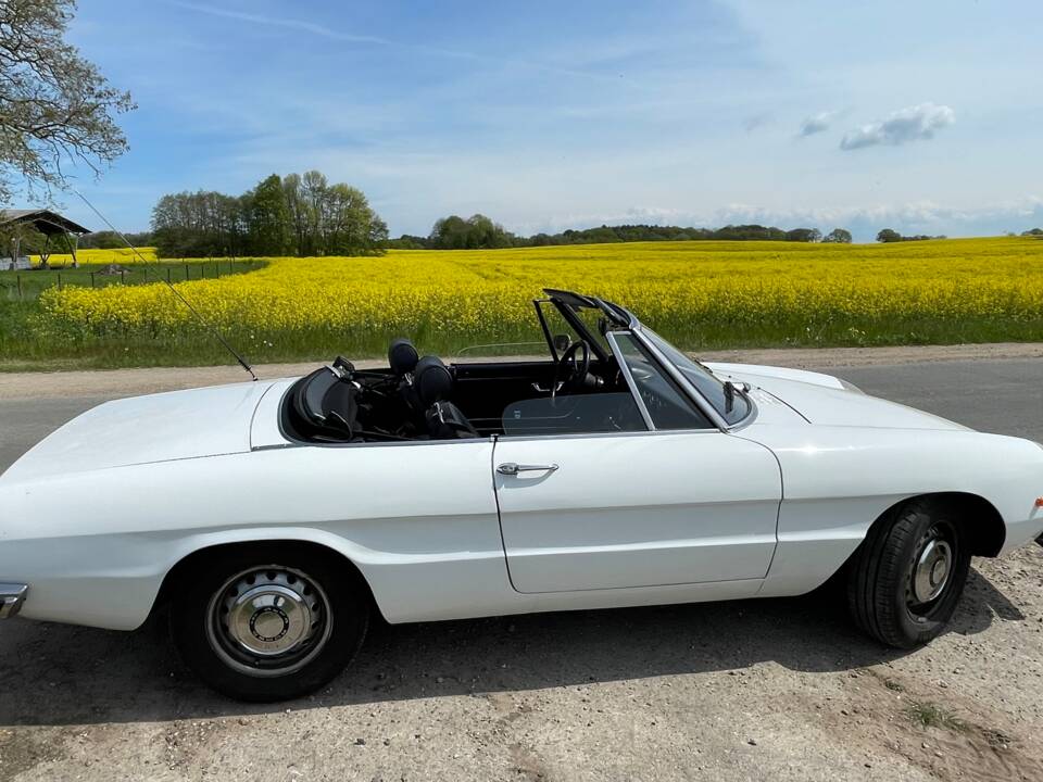Bild 14/29 von Alfa Romeo Spider 1300 Junior (1971)